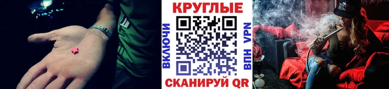 ЭКСТАЗИ Philipp Plein Щёкино