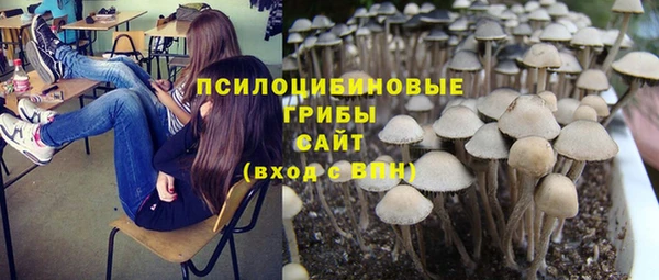 амф Абдулино
