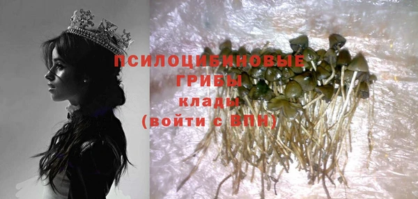 амф Абдулино