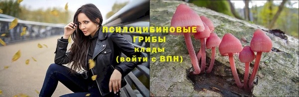 амф Абдулино