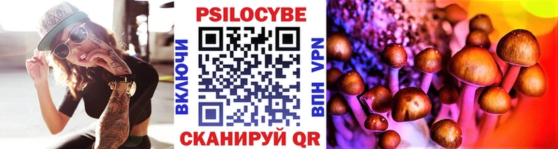 Псилоцибиновые грибы мицелий  Щёкино 