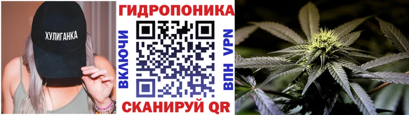 Канабис OG Kush darknet состав Щёкино купить цена